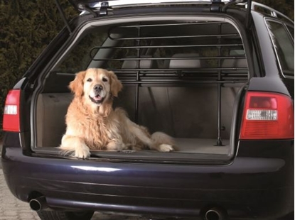 Picture of LeoPet Bomber Cushion Solid Colors